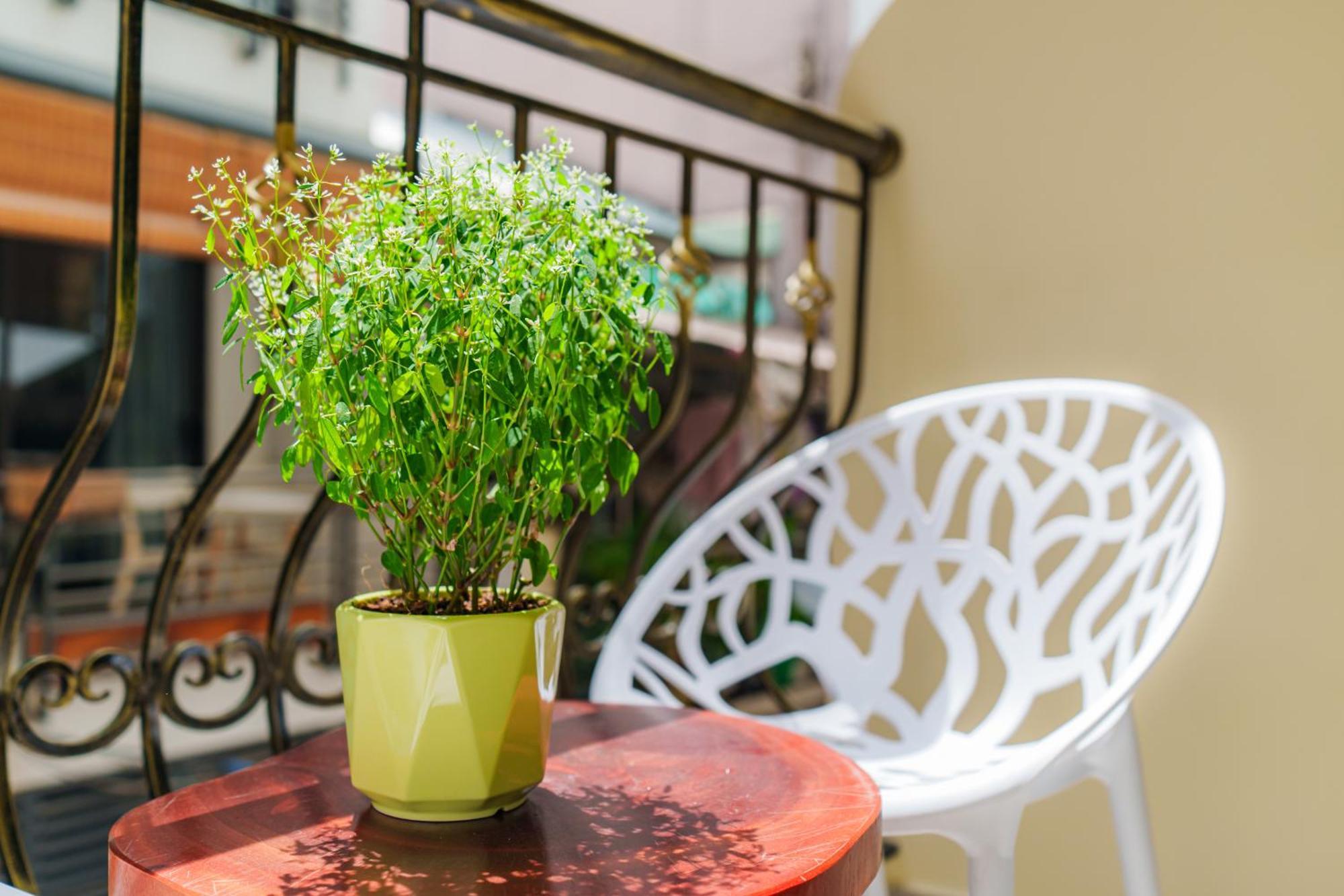Co Chau Homestay Thành Pho Ho Chí Minh Esterno foto